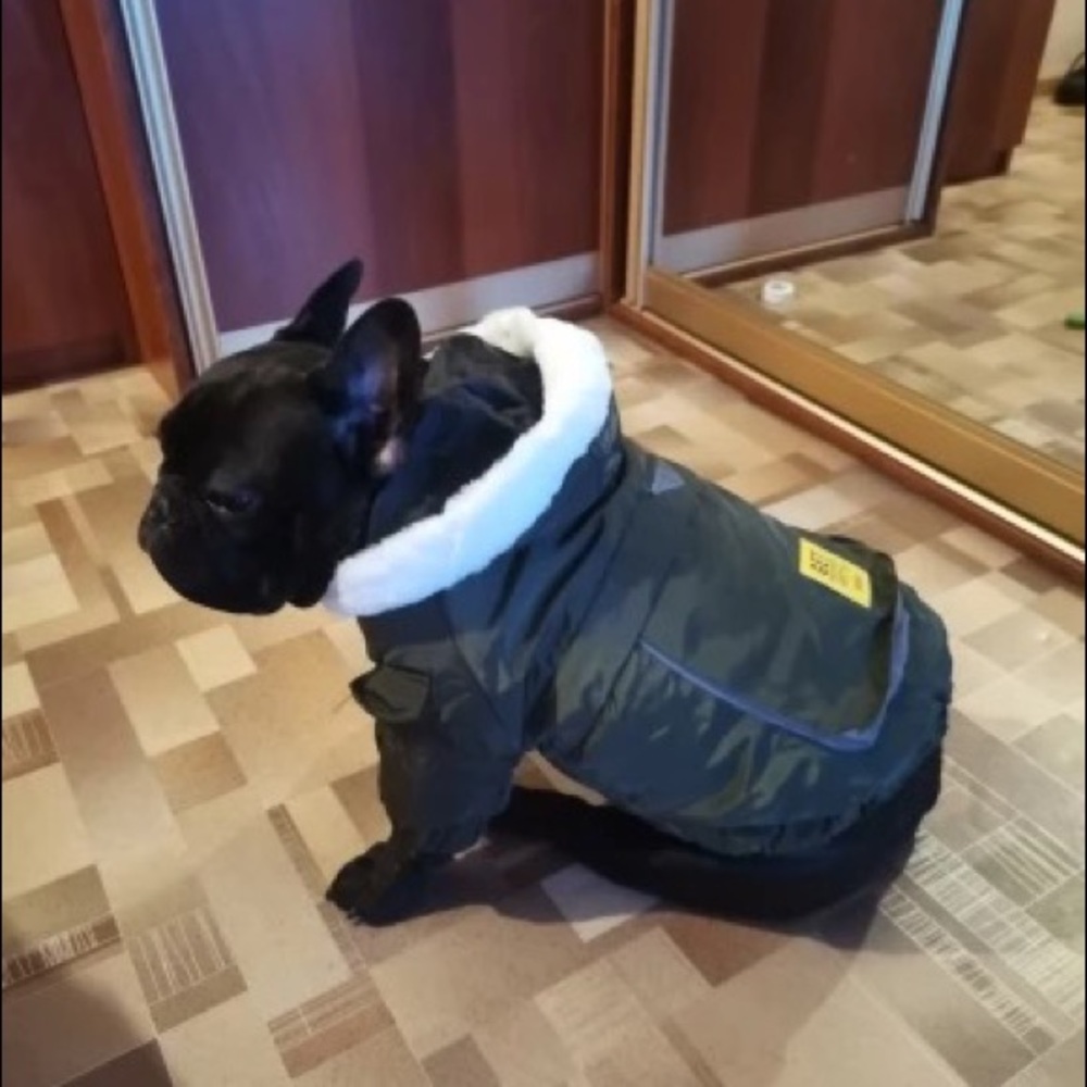 Dog Winter Hoodie Jacket - Picture 13 of 14